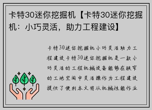 卡特30迷你挖掘机【卡特30迷你挖掘机：小巧灵活，助力工程建设】